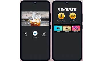 Reverse Video Master for Android - Download the APK from habererciyes